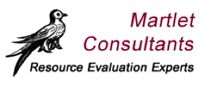 martlet-consultants-logo