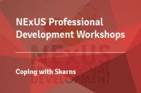 NExUS Professional Development Workshops: Coping with skarns