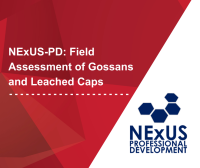 NExUS-PD: Field Assessment of Gossans and Leached Caps