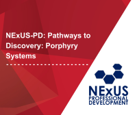 NExUS-PD: Pathways to Discovery: Porphyry Systems
